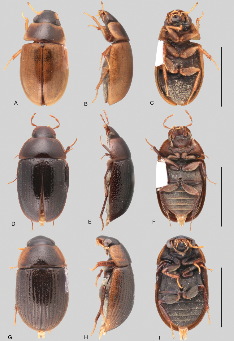 Figure 18.