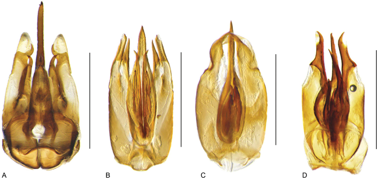 Figure 45.