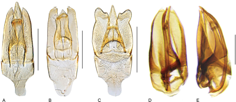 Figure 25.