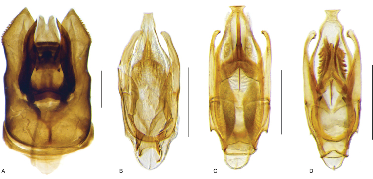 Figure 27.