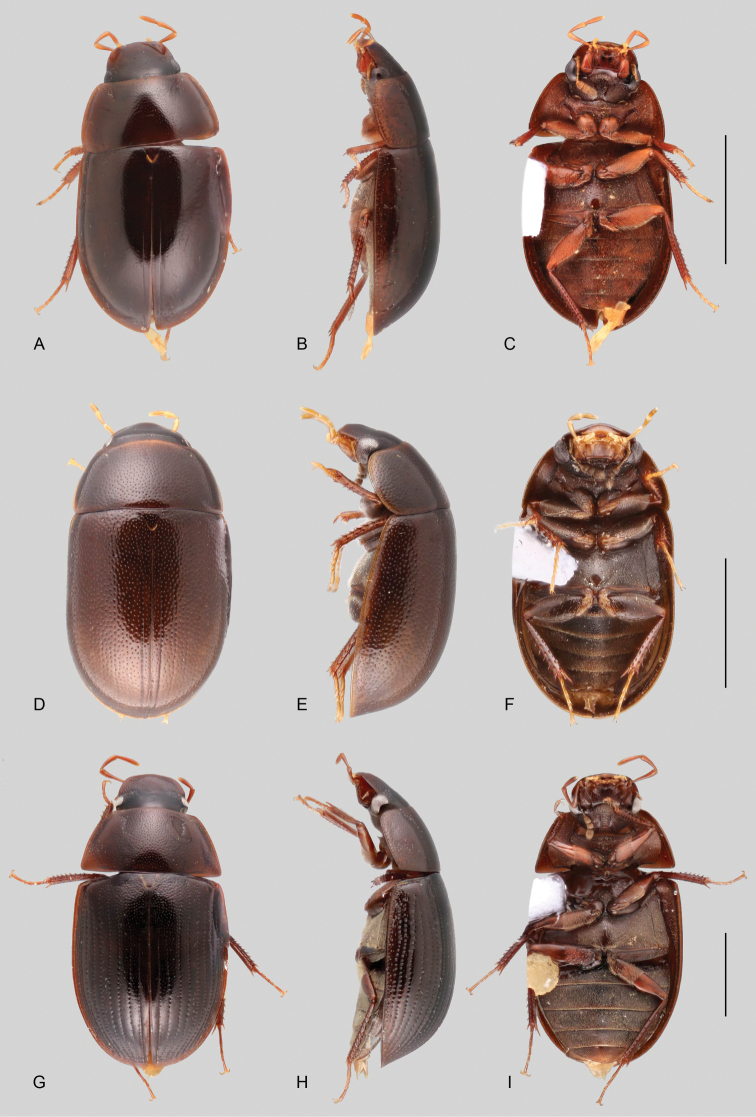 Figure 46.