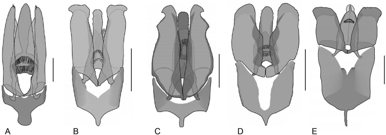 Figure 20.