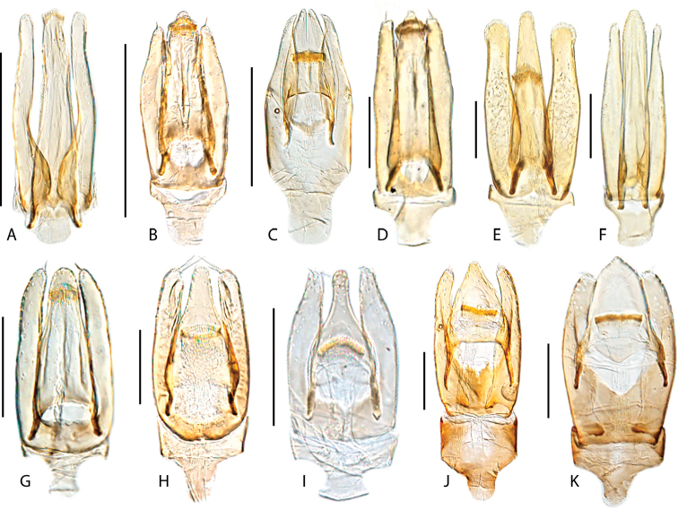 Figure 55.