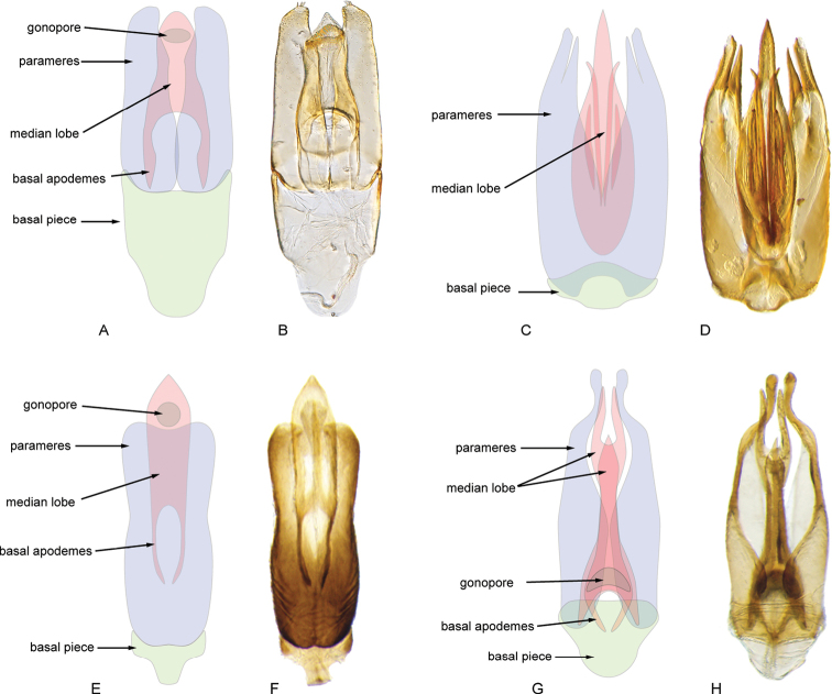 Figure 16.