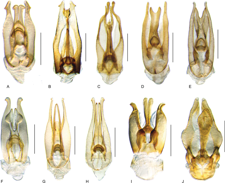 Figure 43.