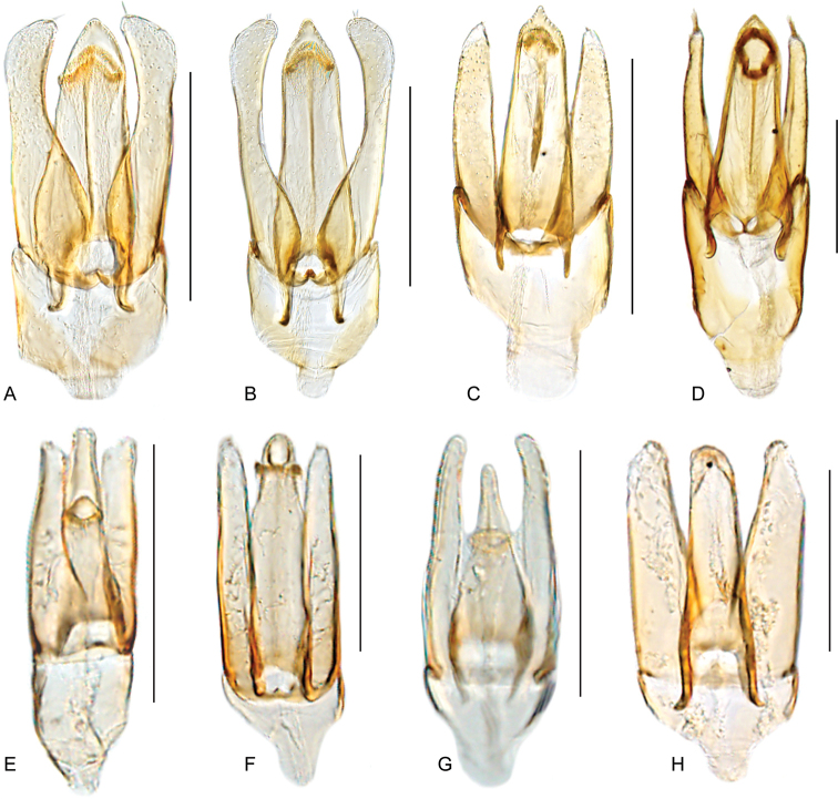 Figure 40.