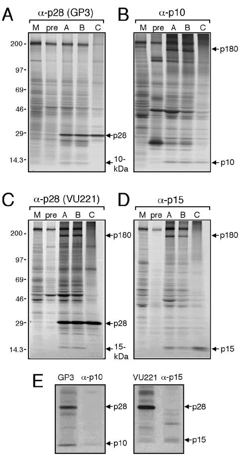 FIG. 7.