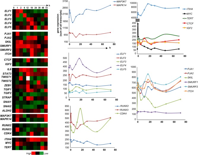 Figure 10