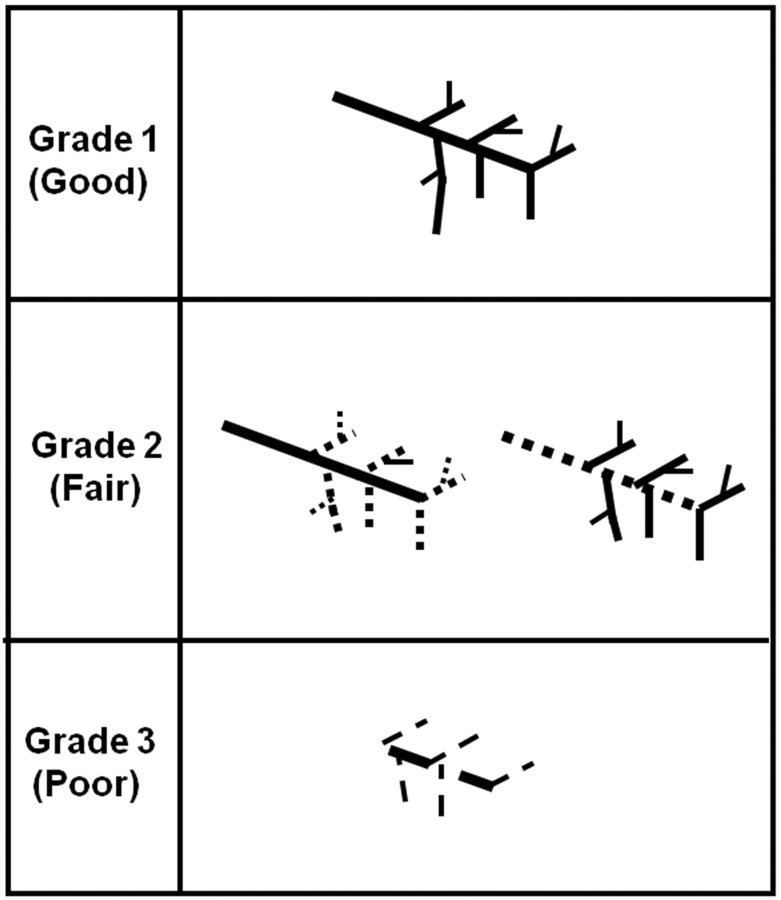 Fig 2.