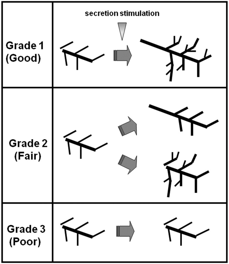 Fig 3.