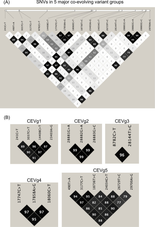 Fig. 4.