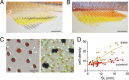 Figure 2—figure supplement 1.