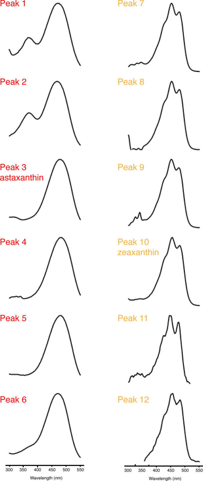 Figure 7—figure supplement 1.