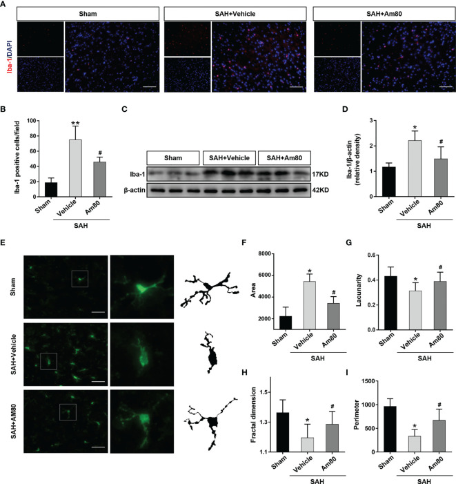 Figure 5