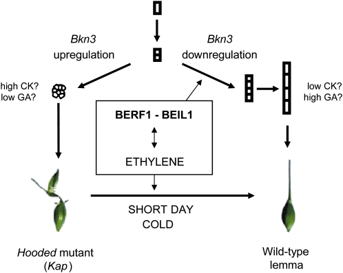 Figure 10.