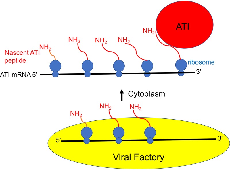 FIG 6