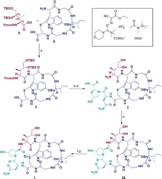 Scheme 5