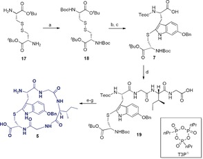 Scheme 3