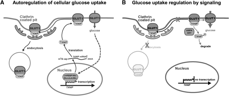 FIG. 3.