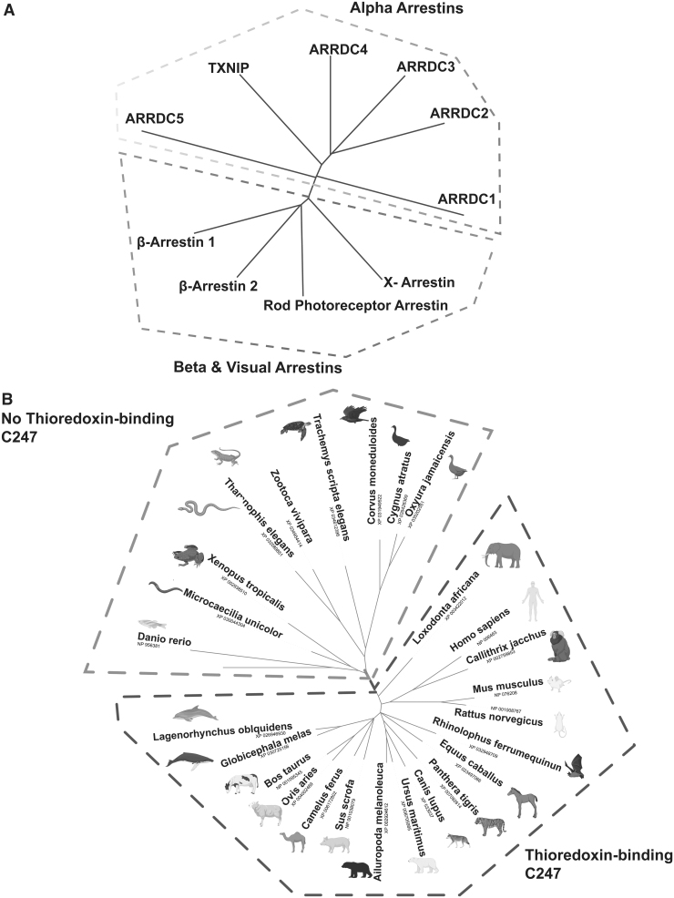 FIG. 1.