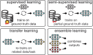 Diagram of common learning strategies for artificial intelligence models.
Supervised learning trains models on input-output relationships using
“ground truth” as a reference to guide the learning process.
Semisupervised learning, with partial or imperfect ground truth, is effective
where only partial supervision is feasible. Transfer learning refines a
preexisting model using related data or tasks, saving time and computational
resources compared with starting from scratch. Ensemble learning combines
outputs from multiple uniquely trained models, reducing error risks and
enhancing model robustness for more reliable, accurate predictions.