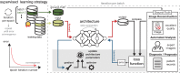 Diagram of supervised learning strategy for an artificial intelligence
model. An architectural layer performs computational operations on data passing
through it, with skip connections linking nonsequential layers. A forward pass
transforms input into output. The output is compared with an ideal or correct
ground truth. The task of the model (eg, image reconstruction, automated
analysis, or clinical diagnosis) dictates the form of “ground
truth,” which could be high-quality images, expert annotations, or
patient records. The loss function quantifies the discrepancy between the output
and the ground truth, converting the disagreement into an error signal. The
backward pass propagates the error back through the model. This is accomplished
by calculating gradients, which represent the direction and rate of change of
the error, and selecting an optimizer, which determines how the architecture
parameters are updated based on these gradients. This process reduces the error
over time. An epoch is one full pass over the training data set, with the
architecture trained across many epochs until error convergence is
achieved.