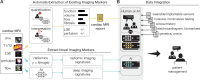 The impact of artificial intelligence (AI)–enabled cardiac MRI on
the patient care pipeline. The diagram shows how AI impacts information
extraction and flow at different steps. (A) AI facilitates and improves the
analysis and interpretation of images by extracting standard cardiac MRI
parameters. This reduces the analysis burden and improves the accuracy,
precision, and reproducibility of analysis and interpretation. AI may also
provide a new paradigm for gaining insights into cardiac MRI scans by extracting
radiomic or deep imaging signatures of cardiac disease not currently being
extracted. (B) AI enables the efficient combination of clinical, imaging,
wearable device, biomarker, genetics, and “omics” data to provide
clinically actionable information to improve patient care. LGE = late gadolinium
enhancement.