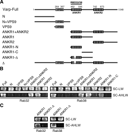 Figure 3.