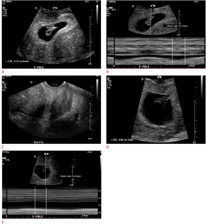 Fig. 7.