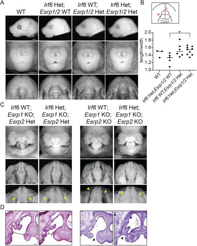 Fig. 9.