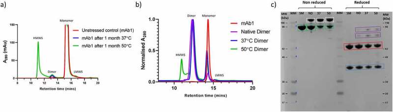 Size exclusion chromatogram for unstressed mAb1 as well as mAb1incubated for 1 month at 37°C and 50°C. Elevated aggregate levels are observed after temperature stressing, with the highest levels in the 50°C condition. B) Size exclusion chromatogram for purified dimers isolated from unstressed mAb1 and the stressed samples described in A). In each sample, the dimer is the predominant species. C) SDS PAGE for unstressed mAb1 and the three dimer samples. Non-reduced analysis on left hand side showing presence of SDS-resistant dimer in all three dimer samples. Reduced analysis on the right-hand side showing that the majority of SDS-resistant dimer is reducible.