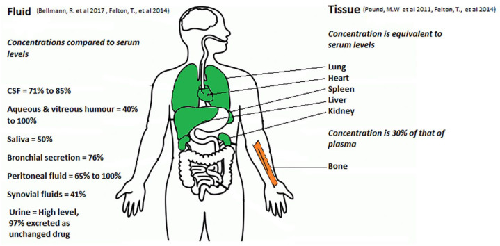 Figure 3.