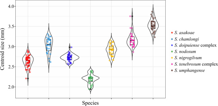 Fig. 3