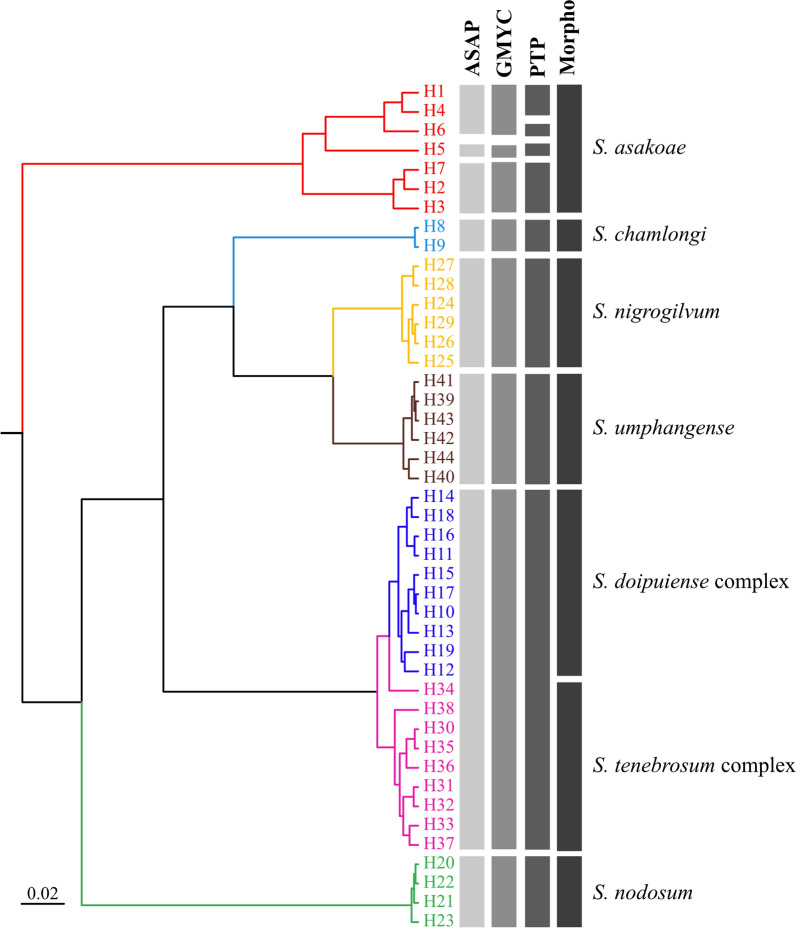 Fig. 9