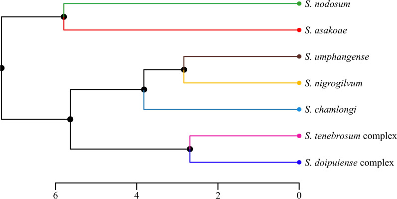 Fig. 6