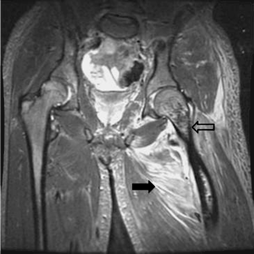 Fig. 5
