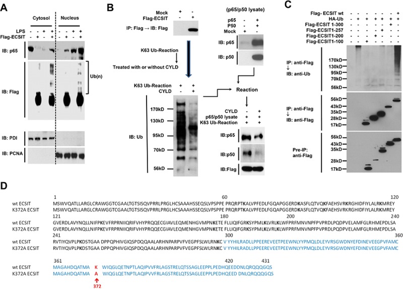 FIGURE 3: