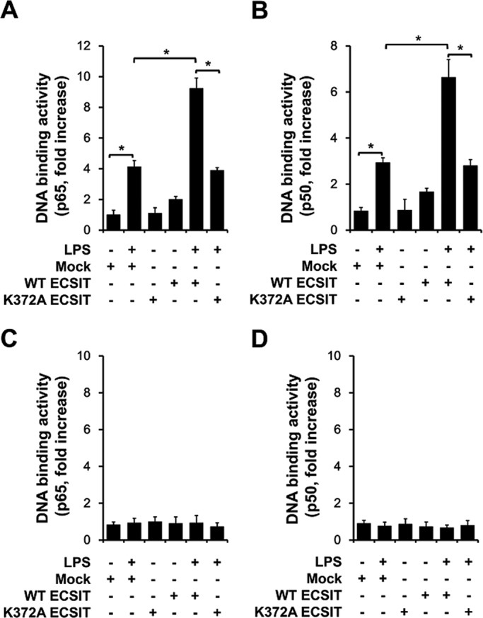 FIGURE 6: