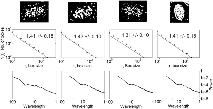 Fig. 2c