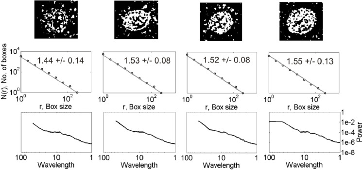 Fig. 2b