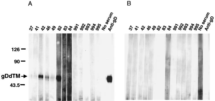 FIG. 6