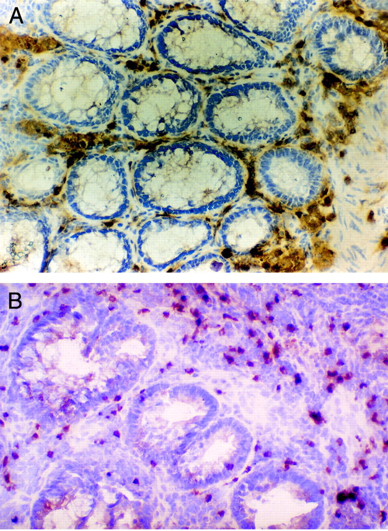 Figure 2  