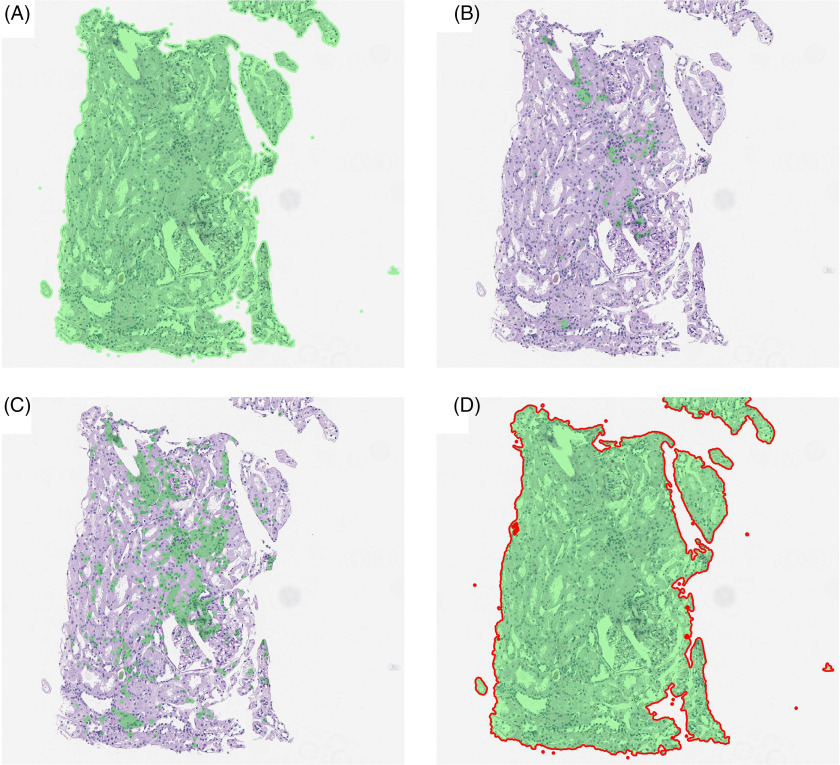 Fig. 7.