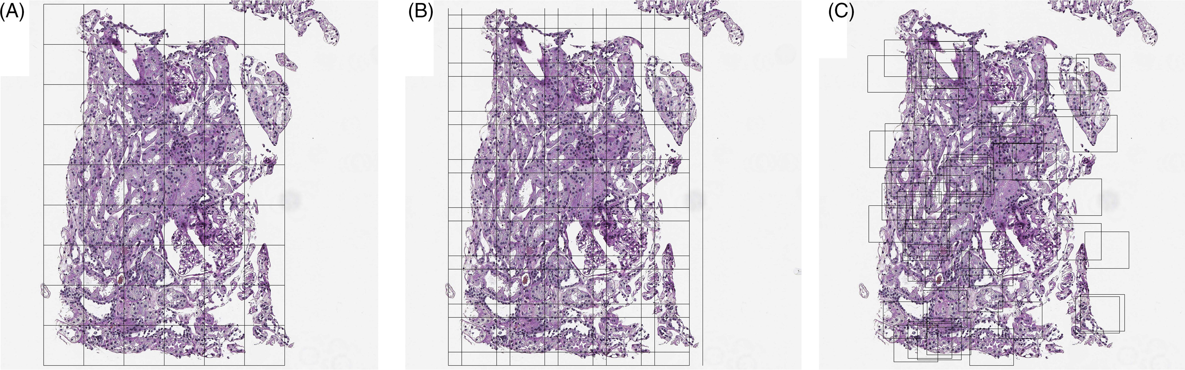 Fig. 5.