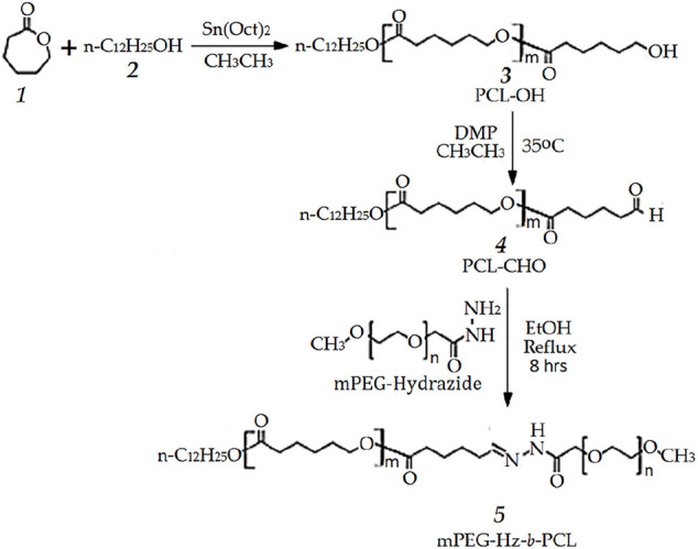 SCHEME 1