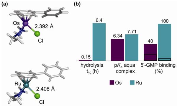 Figure 24