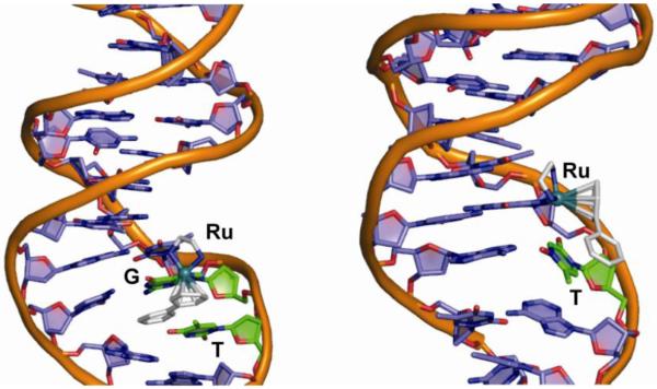 Figure 20