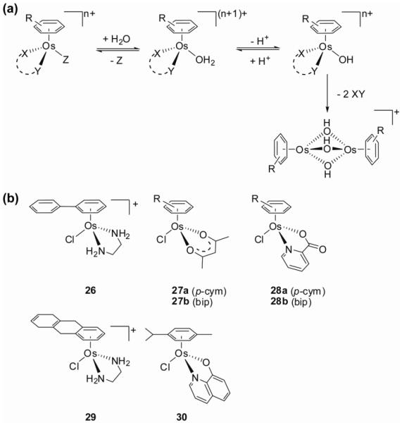 Figure 25