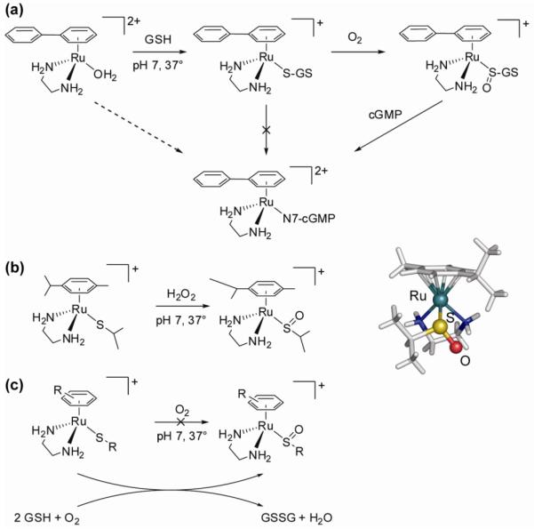 Figure 22