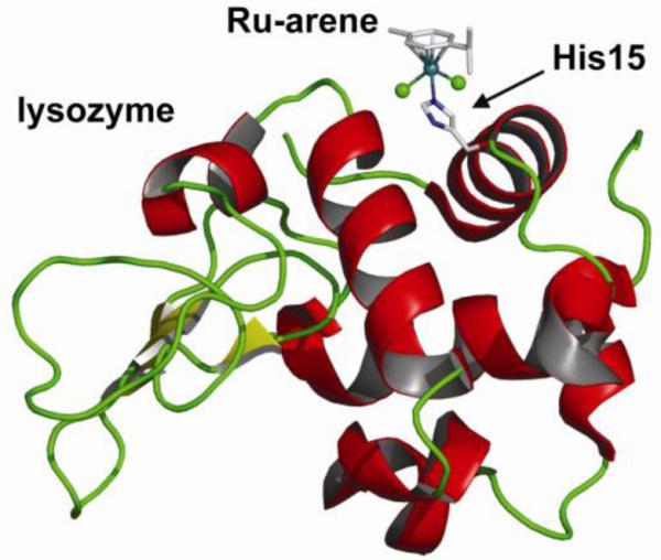 Figure 21